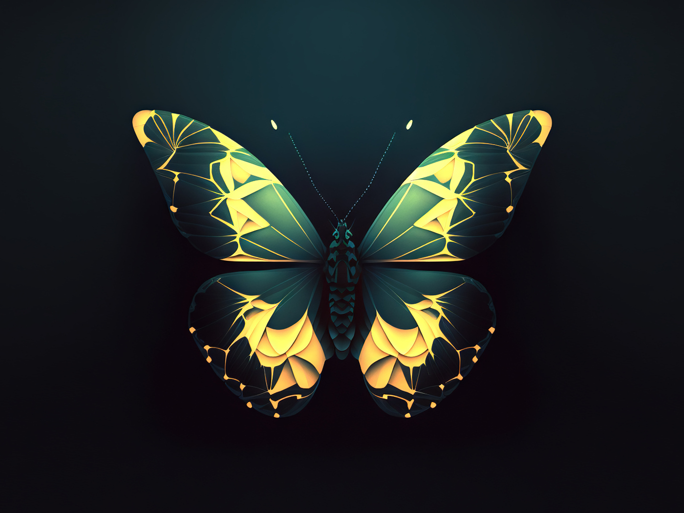Красивая бабочка на черном фоне 3д графика
