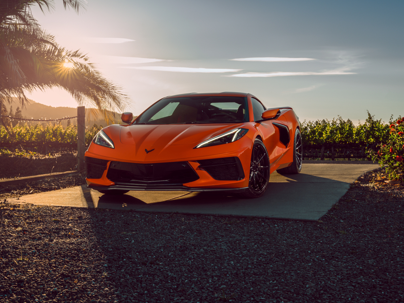 Автомобиль Chevrolet Corvette C8 в лучах солнца