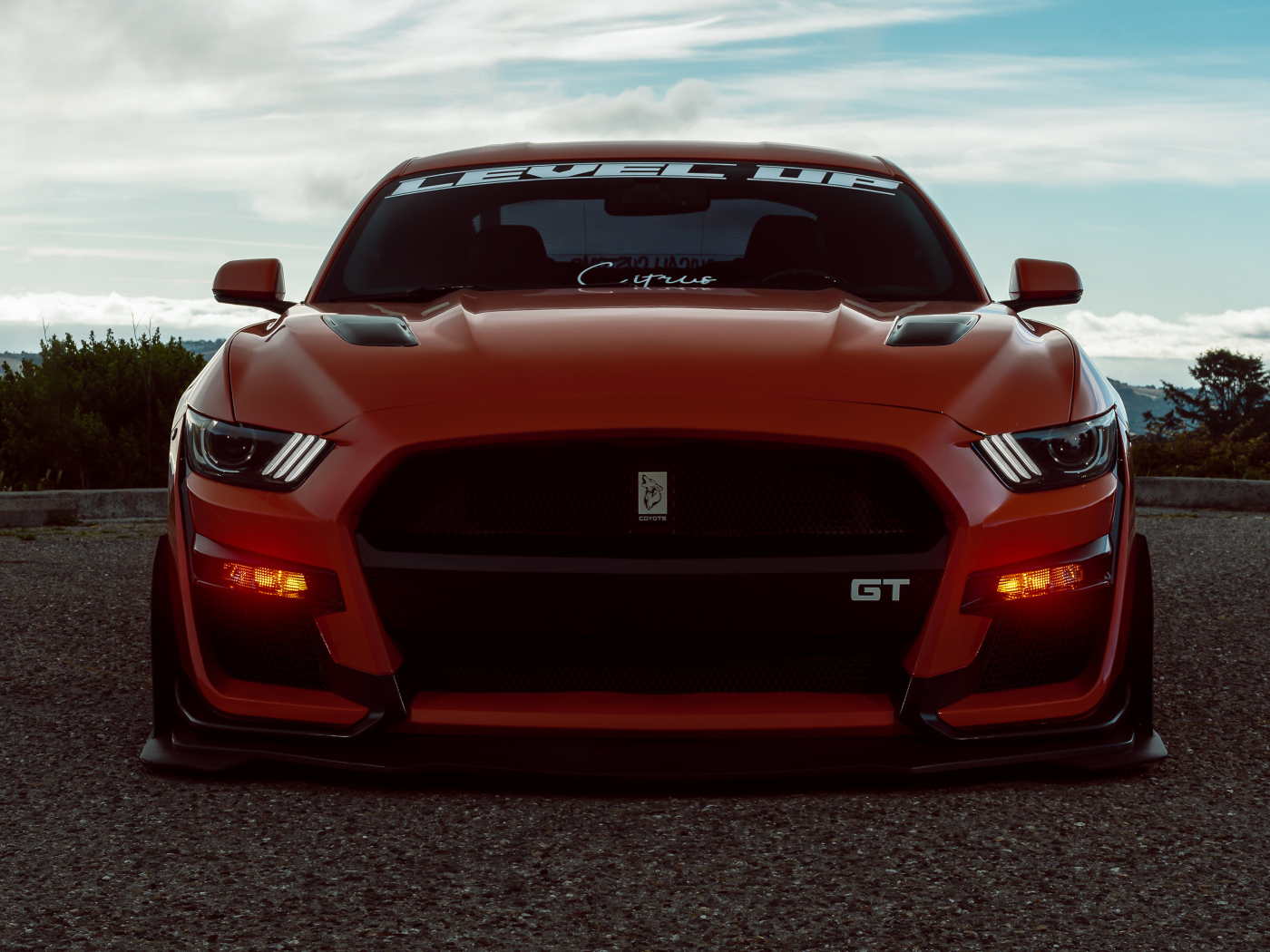 Красный спорткар Ford Shelby GT500 вид спереди