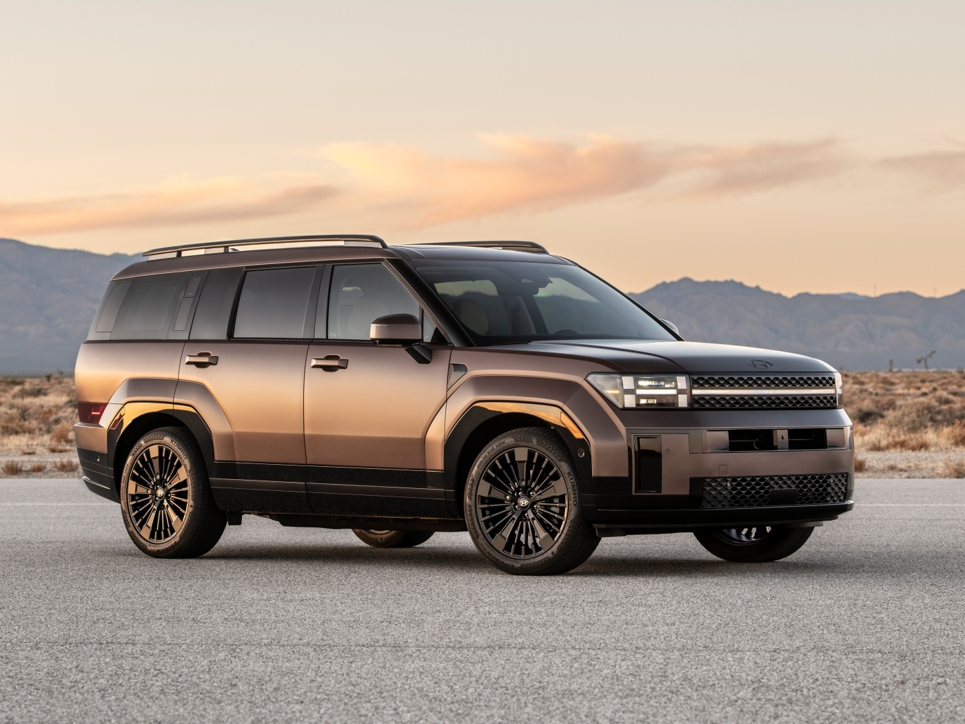 Большой внедорожник Hyundai Santa Fe Calligraphy 2024 года