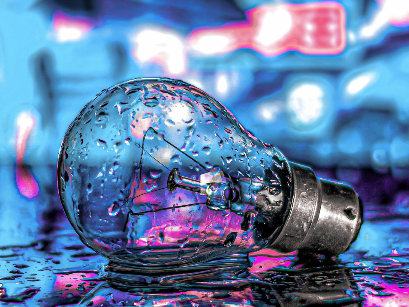 Стеклянная лампочка лежит на мокрой дороге