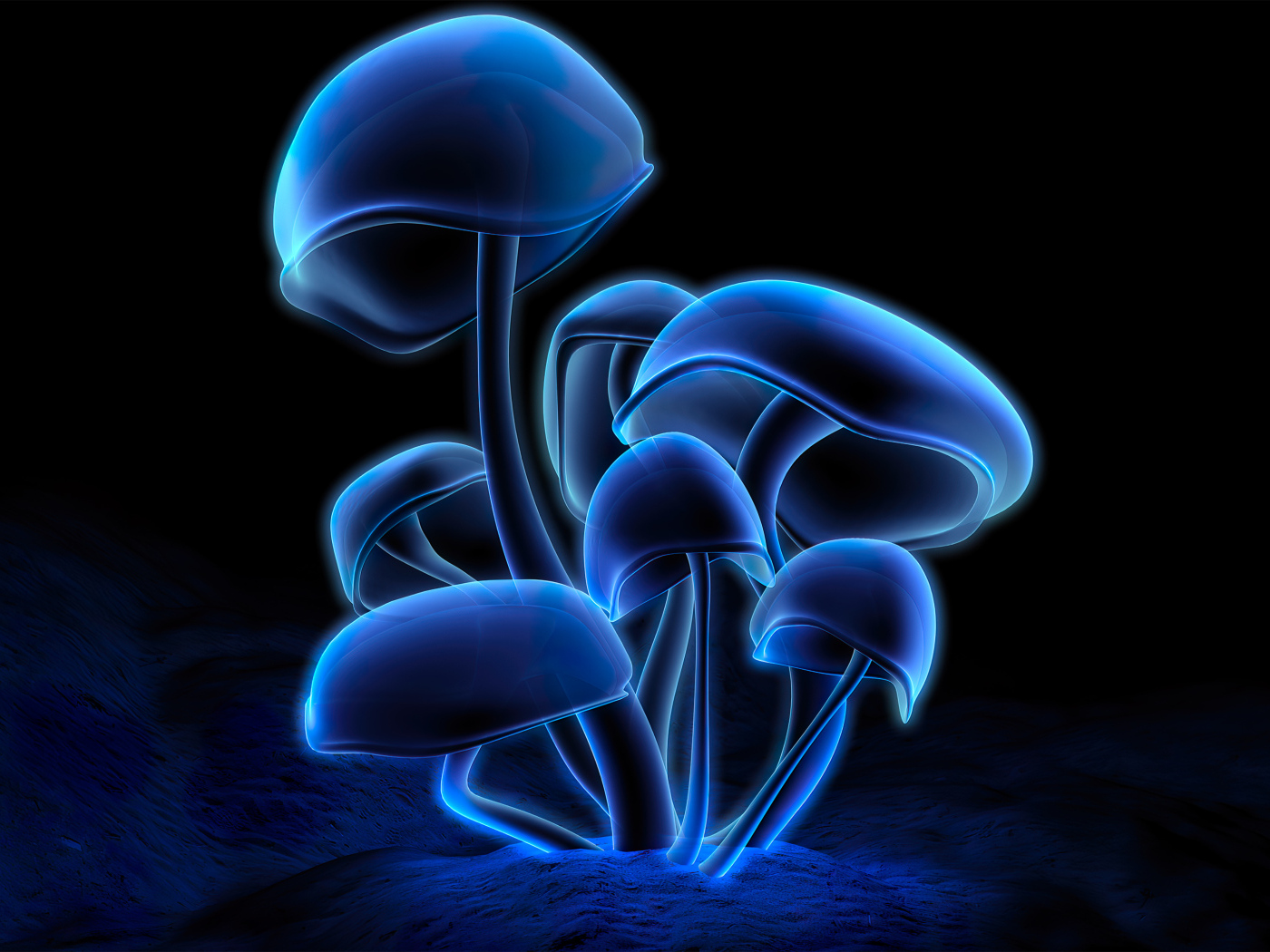 Синие светящиеся грибы на черном фоне