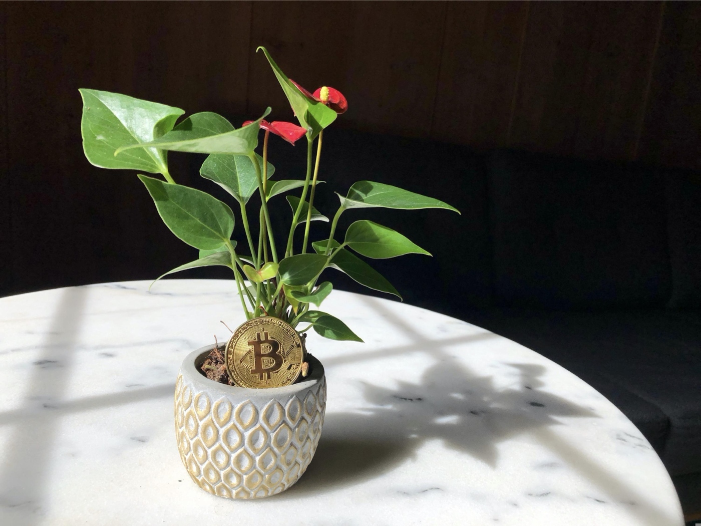 Монета биткоин с цветком антуриума