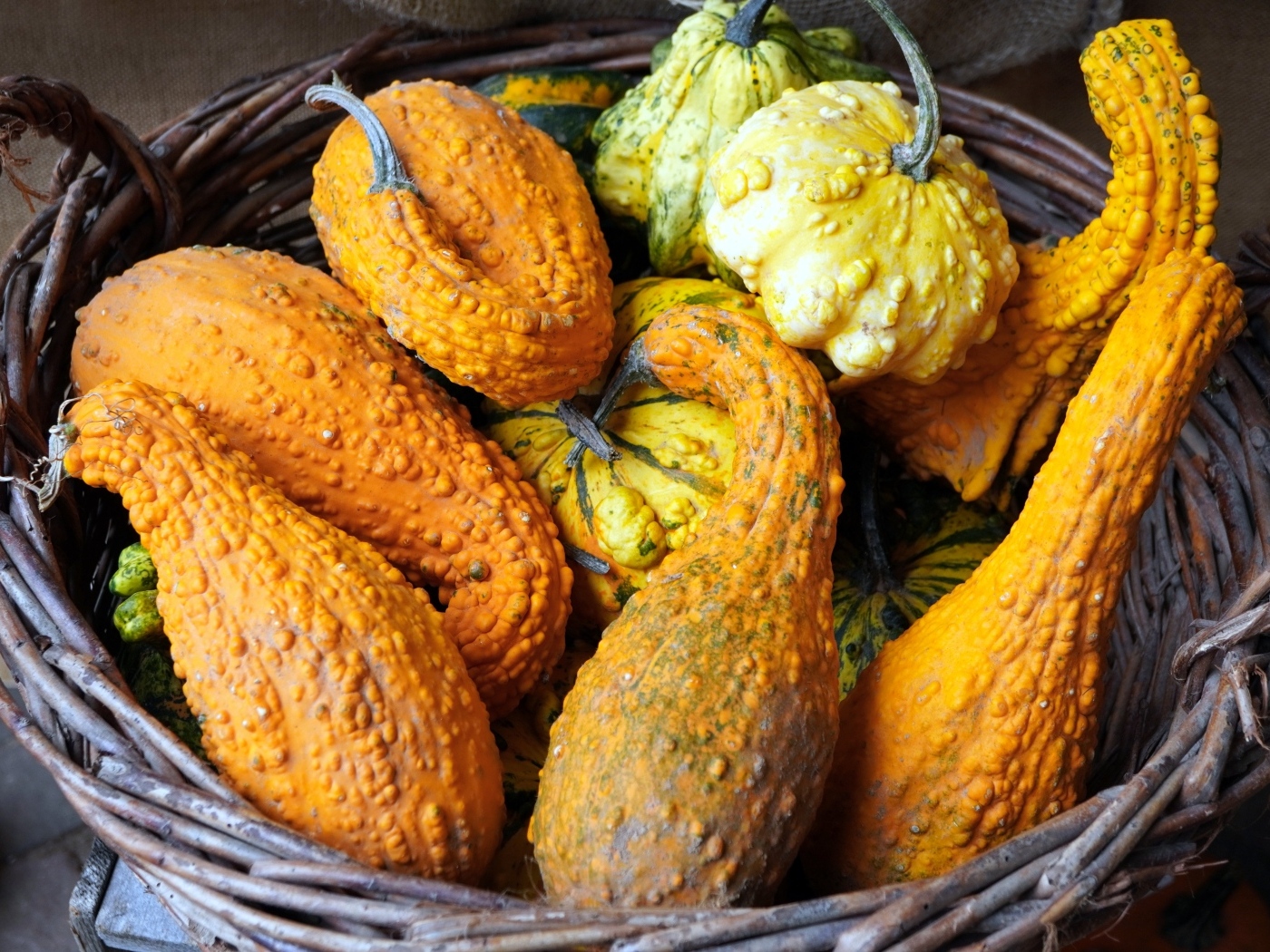 Много тыквы лежит в корзине осенью 