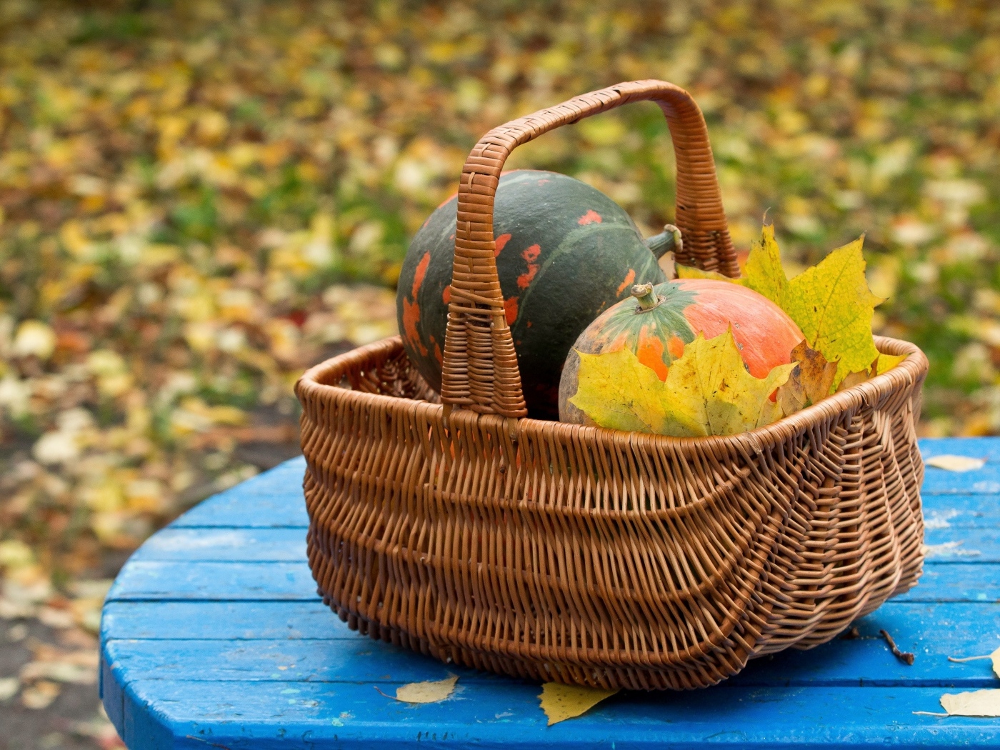 Корзина с тыквой осенью 