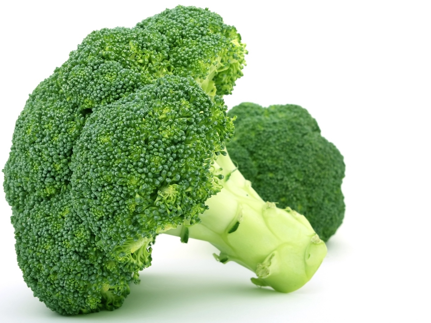 Зеленое брокколи на белом фоне вблизи