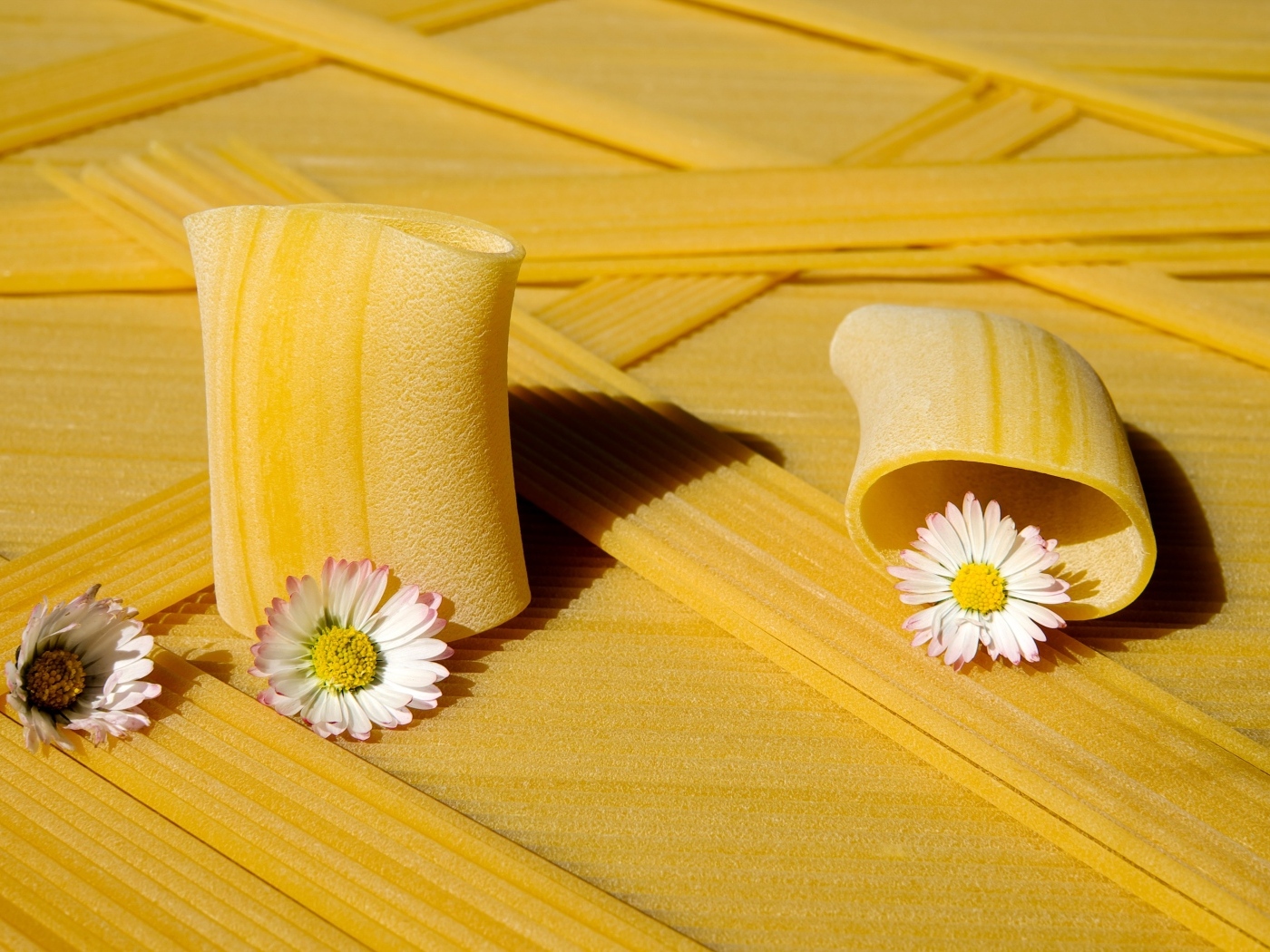 Большие макароны с цветами ромашки 