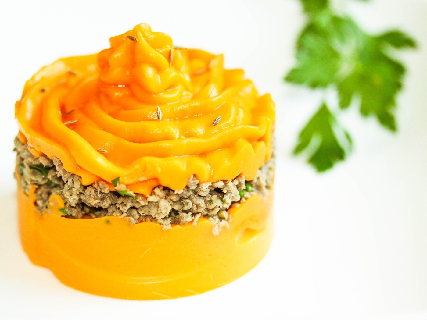 Тыквенное пюре с мясом на тарелке