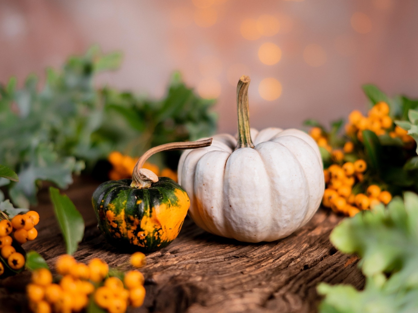 Тыква с ягодами рябины на столе