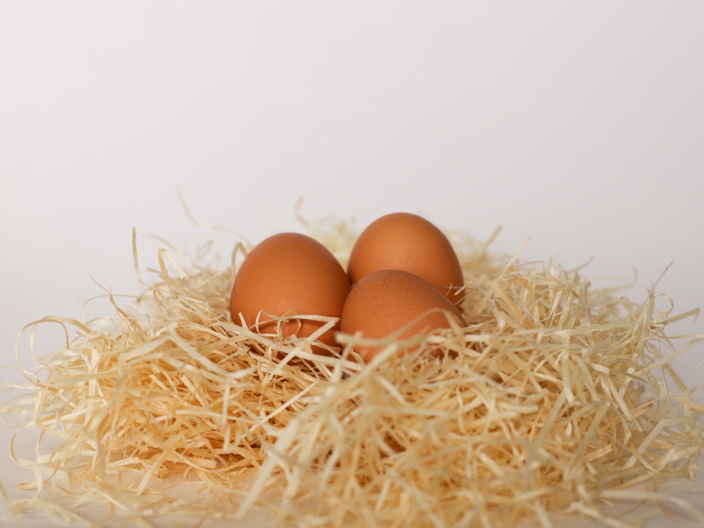 Три куриных яйца лежат в гнезде