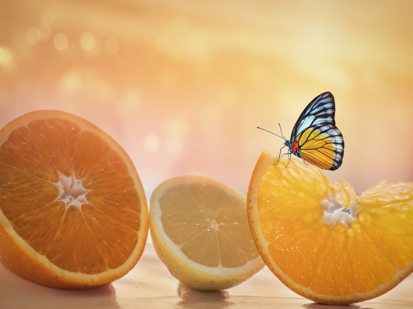 Большие оранжевые апельсины и лимон с бабочкой