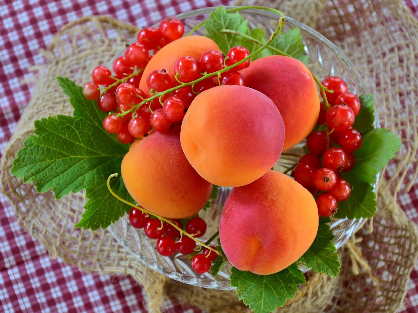 Большие сладкие абрикосы с красной смородиной
