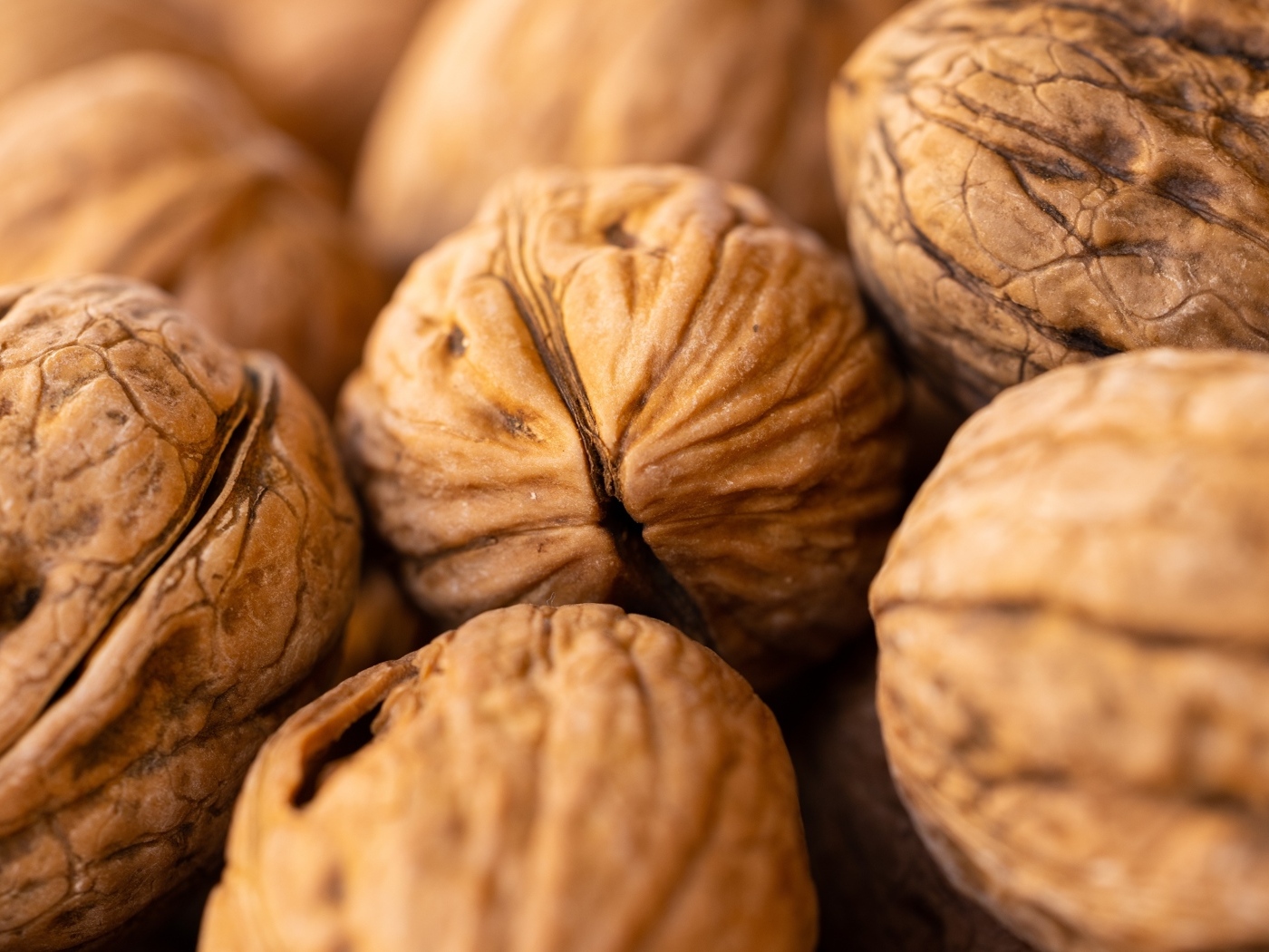 Крупные грецкие орехи