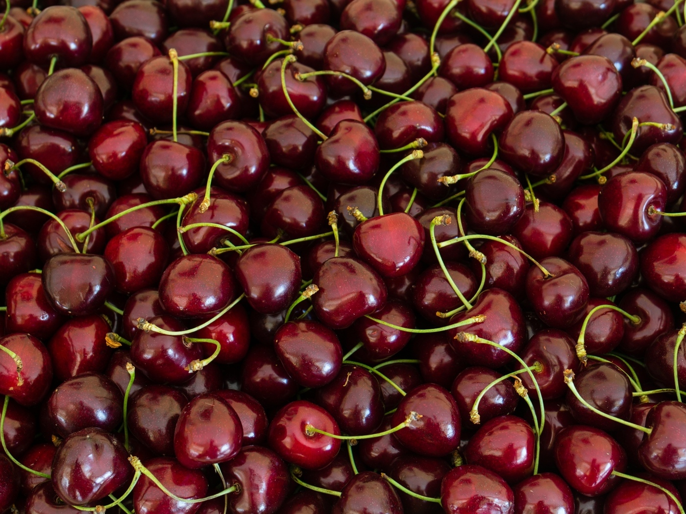 Много вкусной спелой красной черешни 