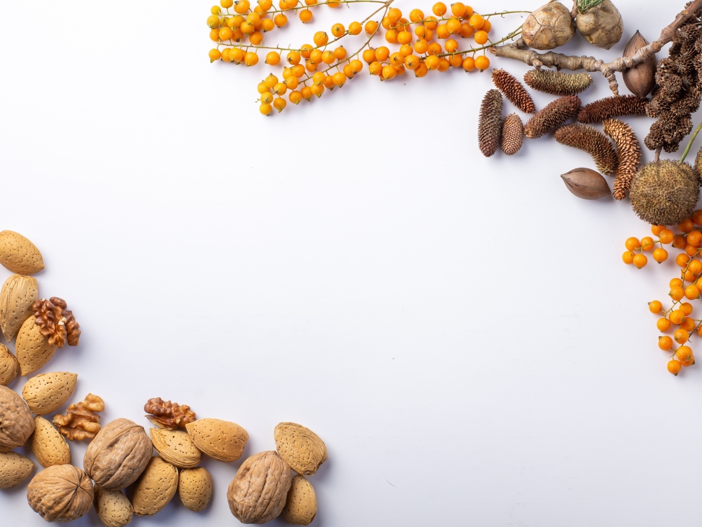 Орехи и ветки для фона