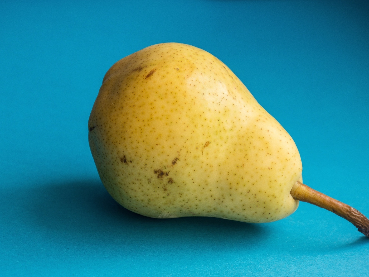 Желтая груша на голубом фоне