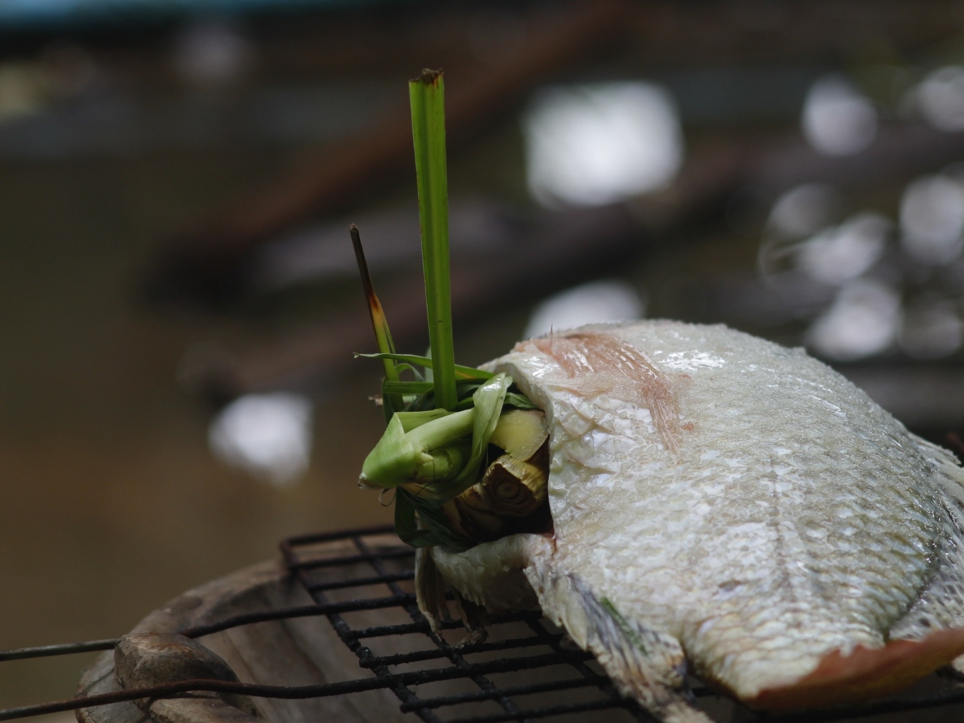 Рыба фаршированная зеленью на гриле