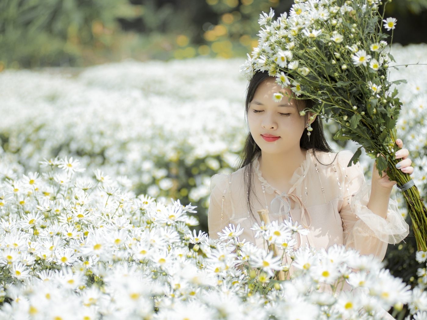 Красивая девушка азиатка на поле с белыми цветами хризантемы