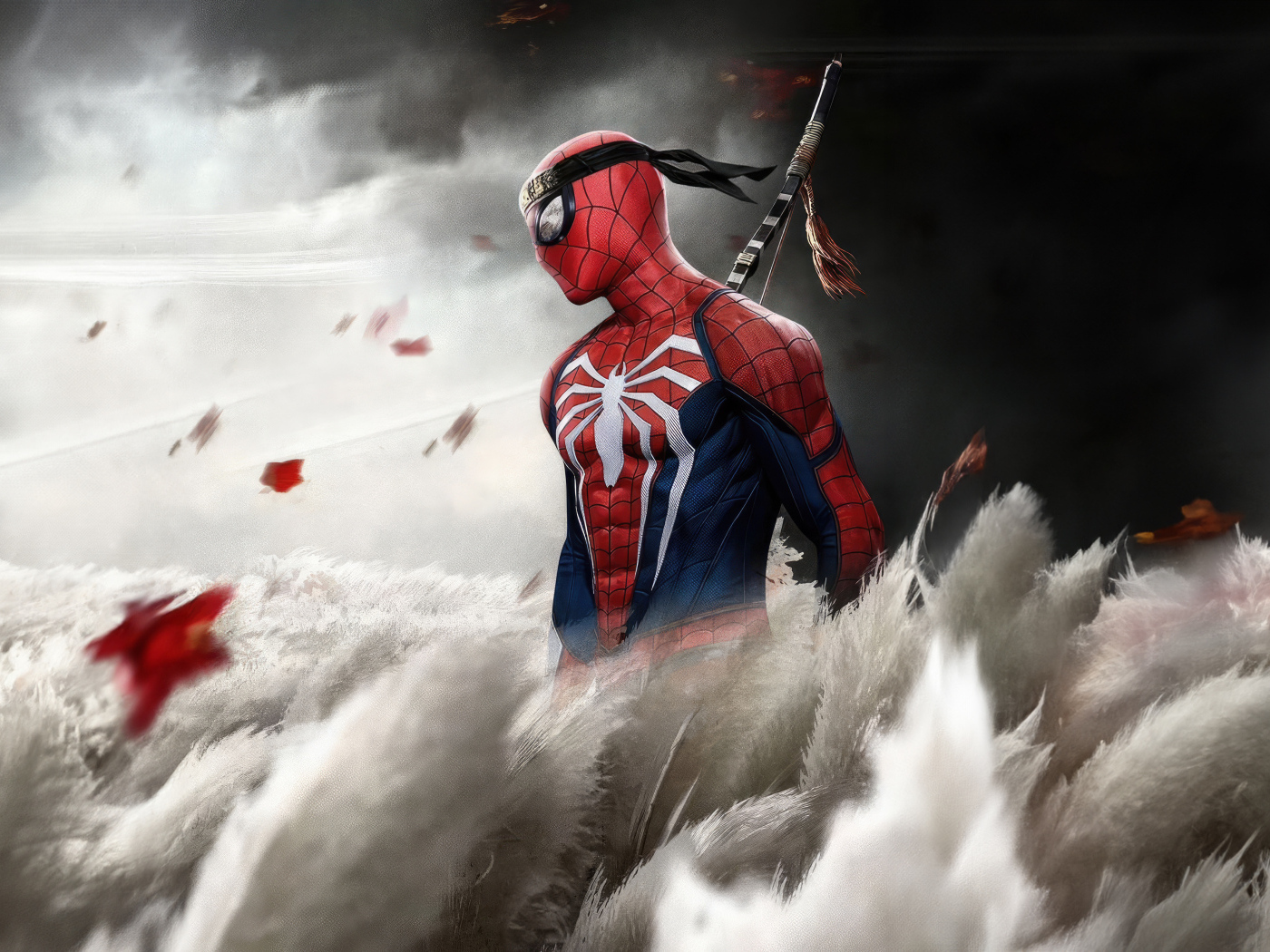 Ниндзя Человек паук на поле