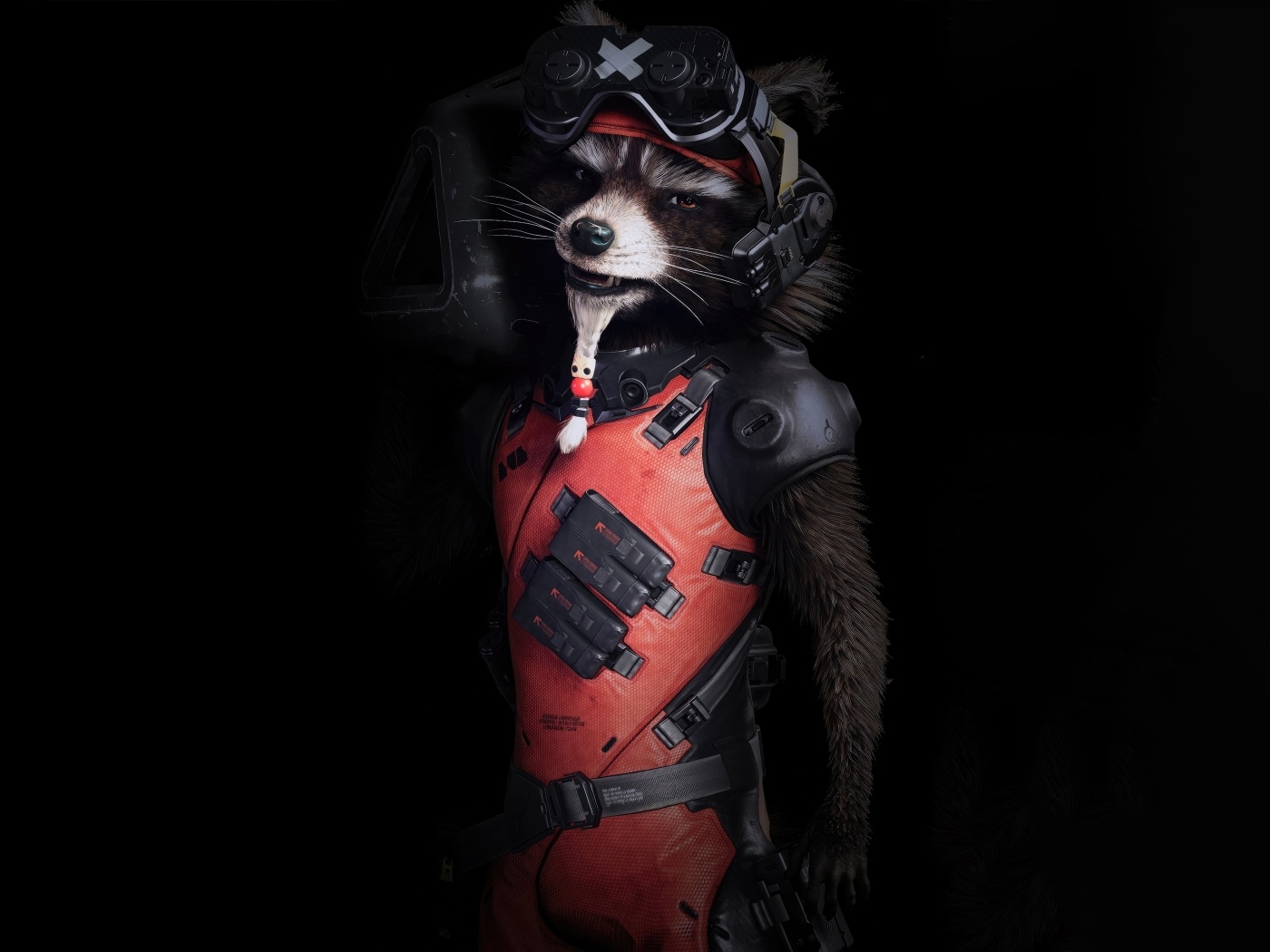 Енот в костюме на черном фоне