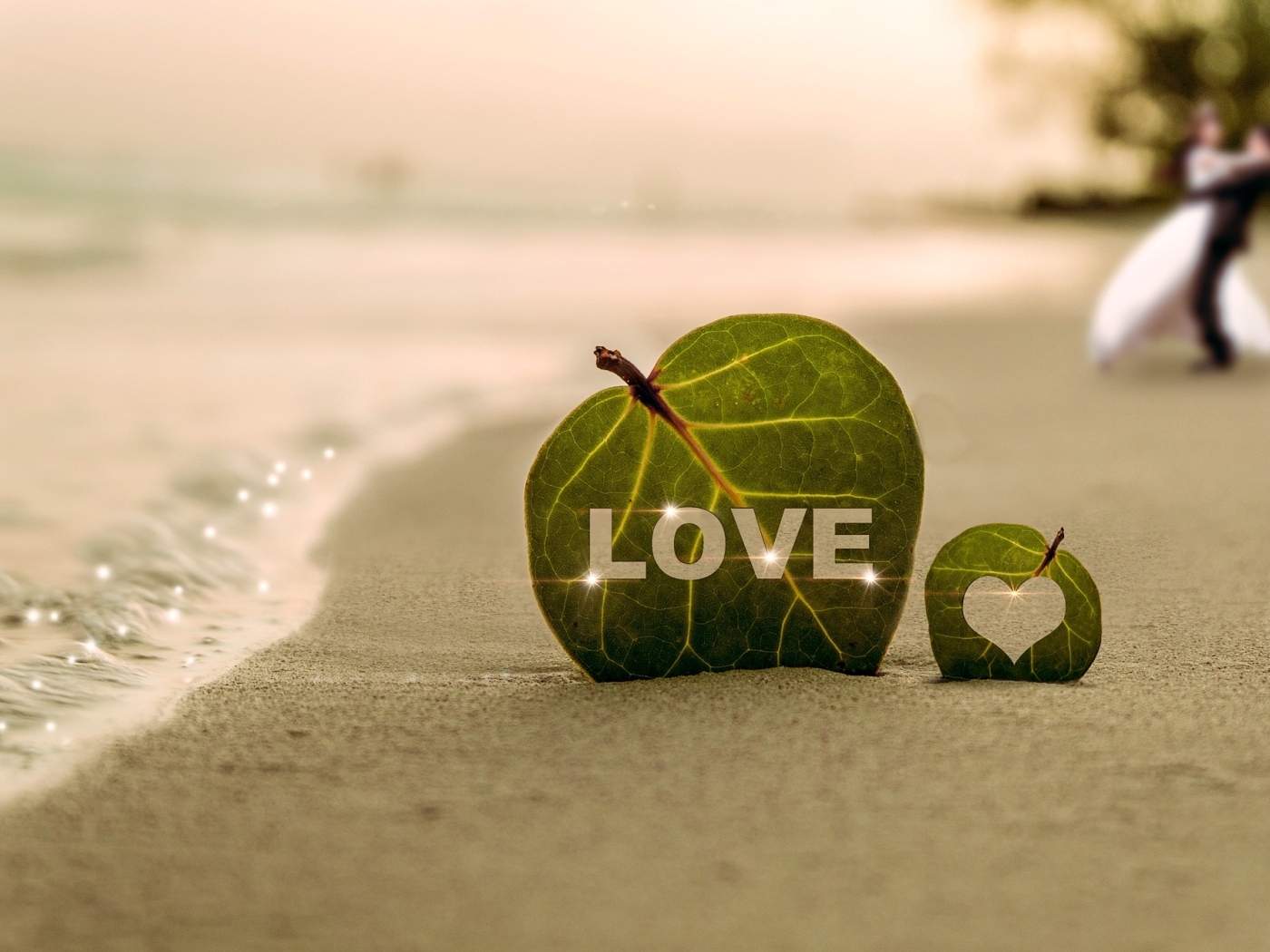 Зеленый лист в надписью любовь на песке у моря