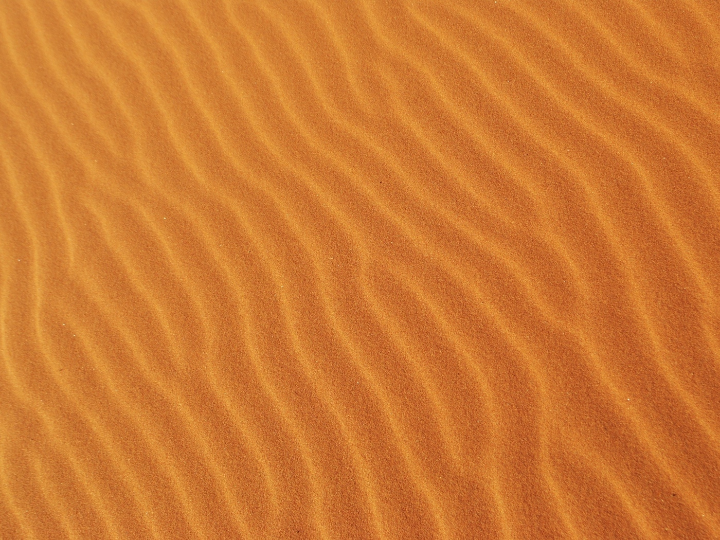 Волнистый горячий песок пустыни крупным планом