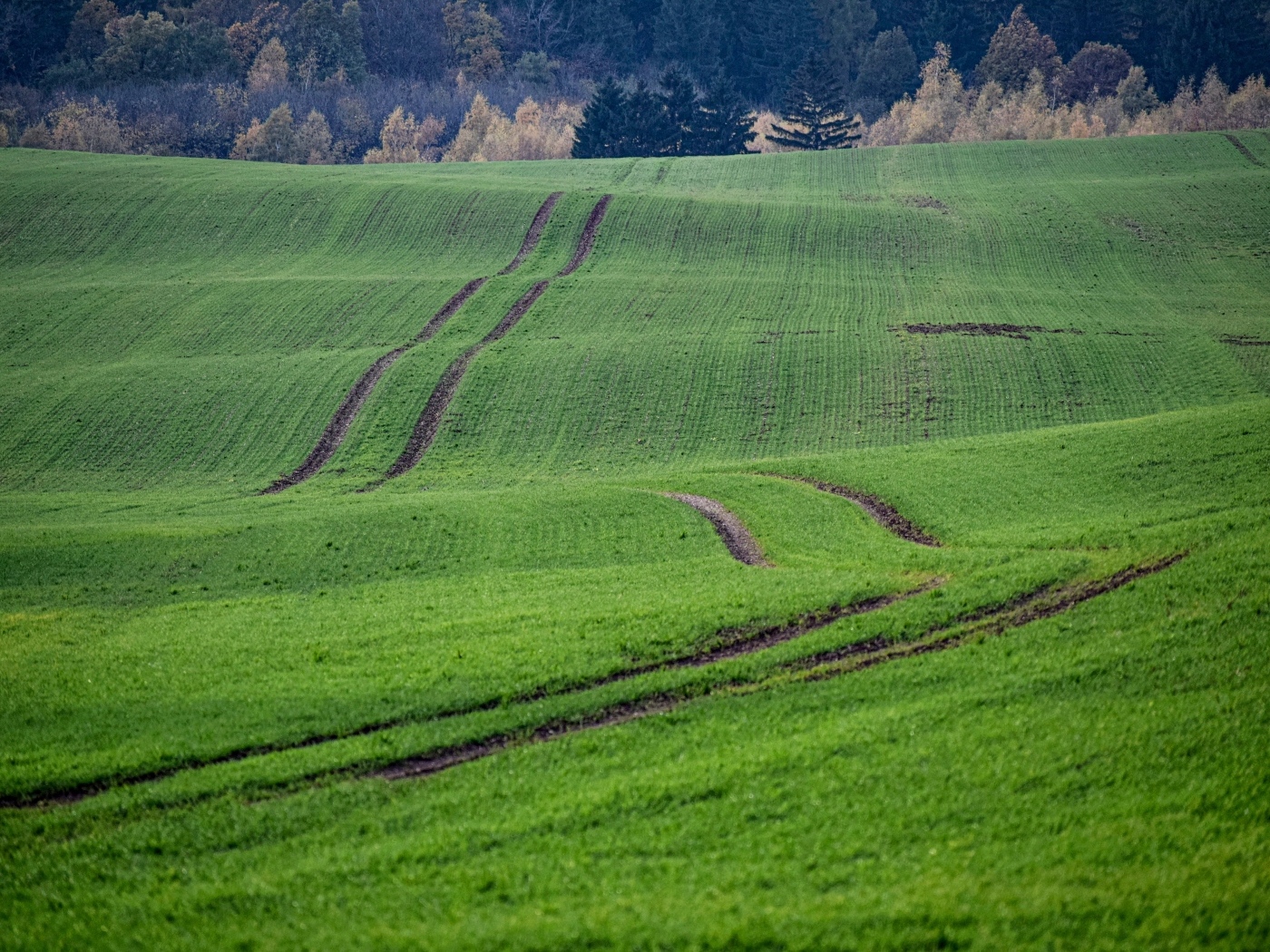 Красивый вид за зеленые поля весной