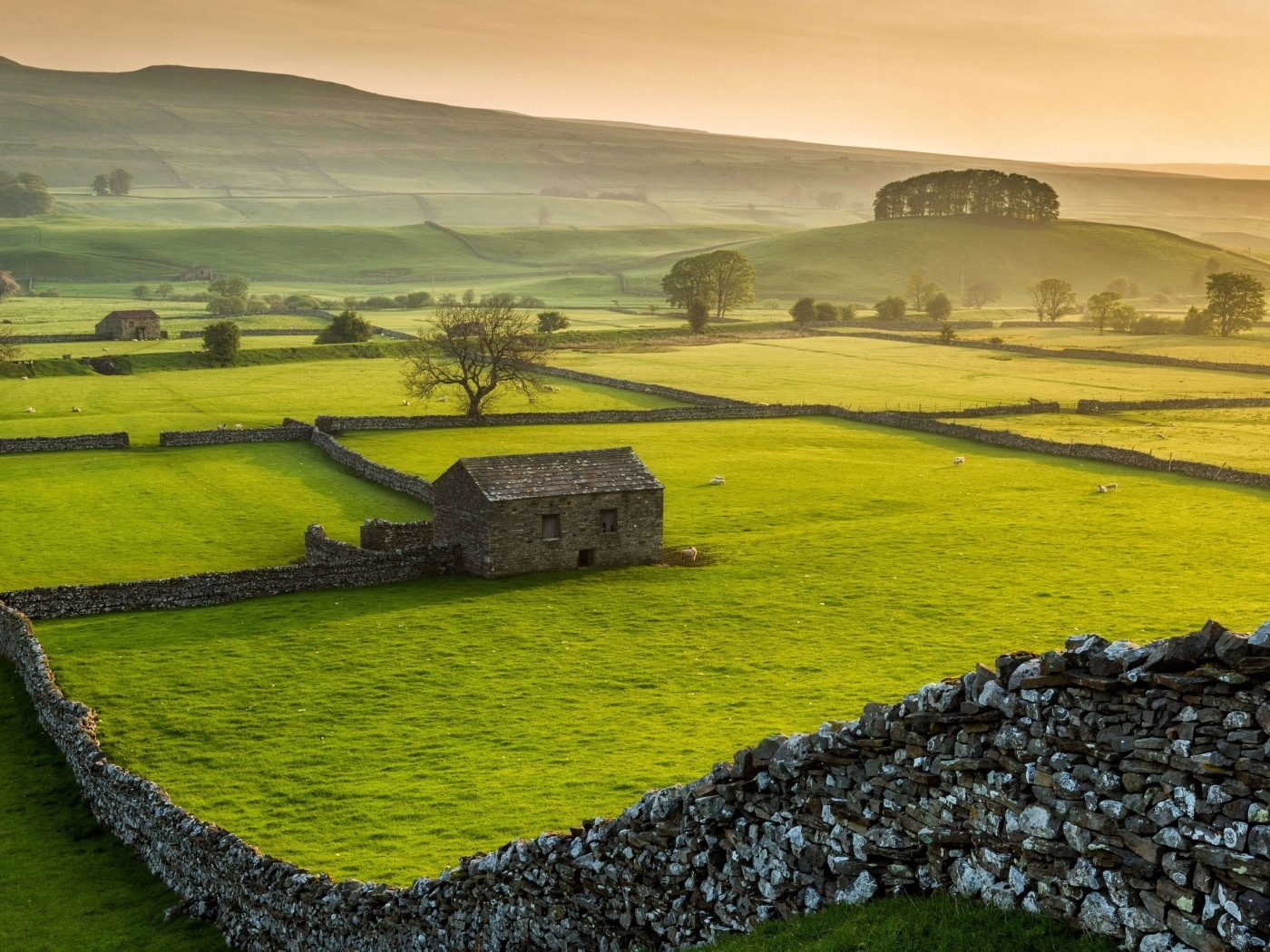 Зеленые поля с каменными ограждениями на ферме