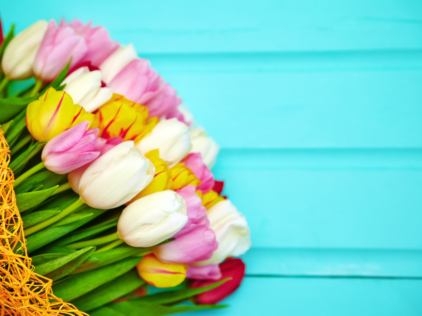 Красивый букет разноцветных тюльпанов на голубом фоне