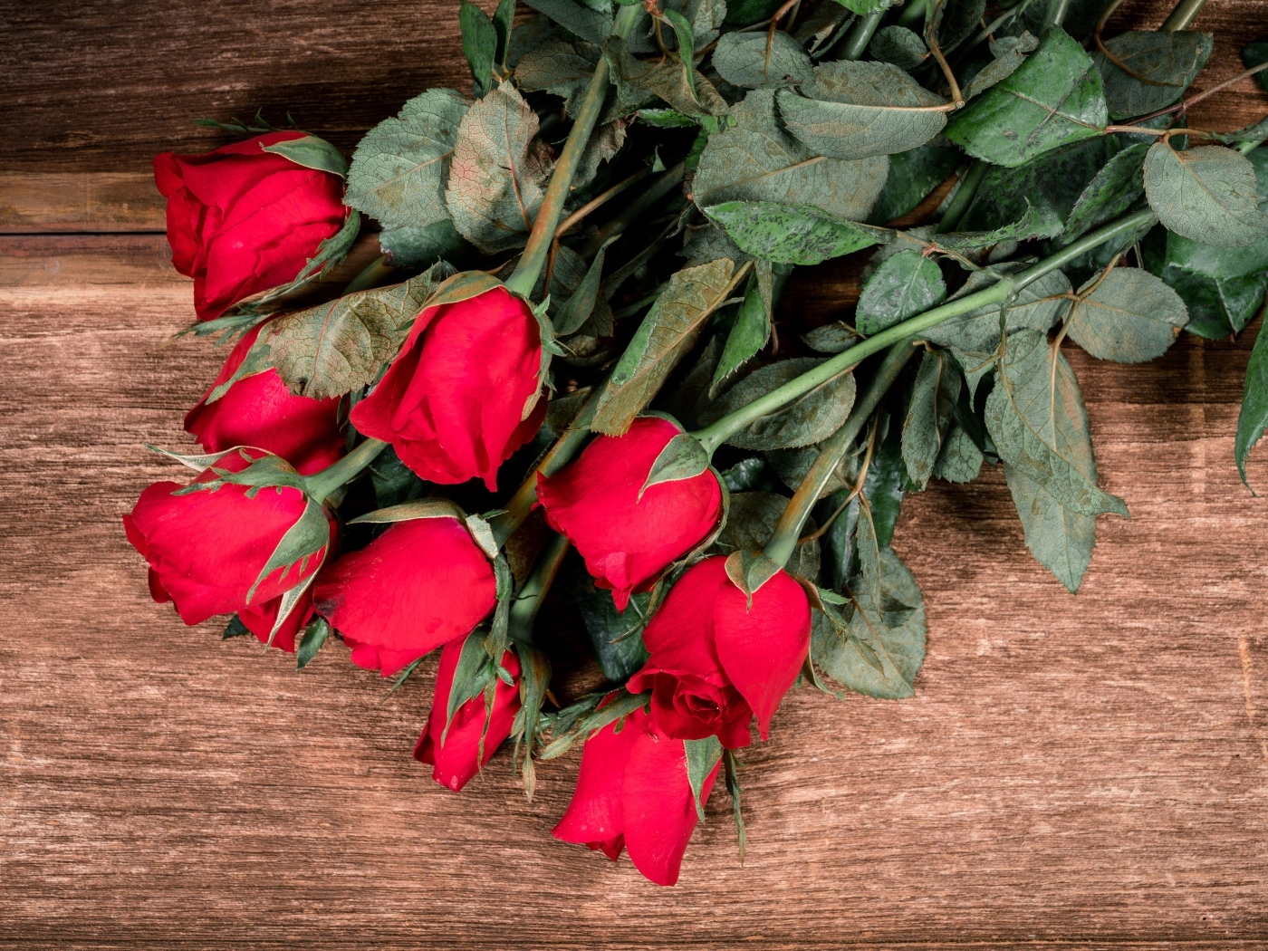 Букет красных английских роз на деревянном столе