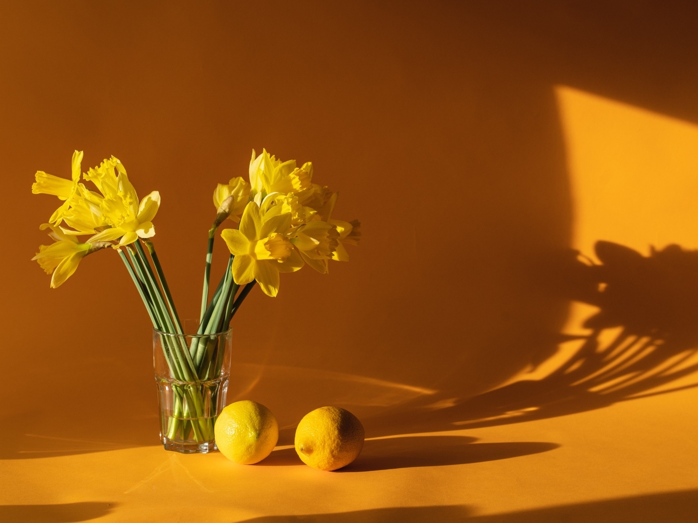 Букет желтых нарциссов в вазе на столе с лимонами