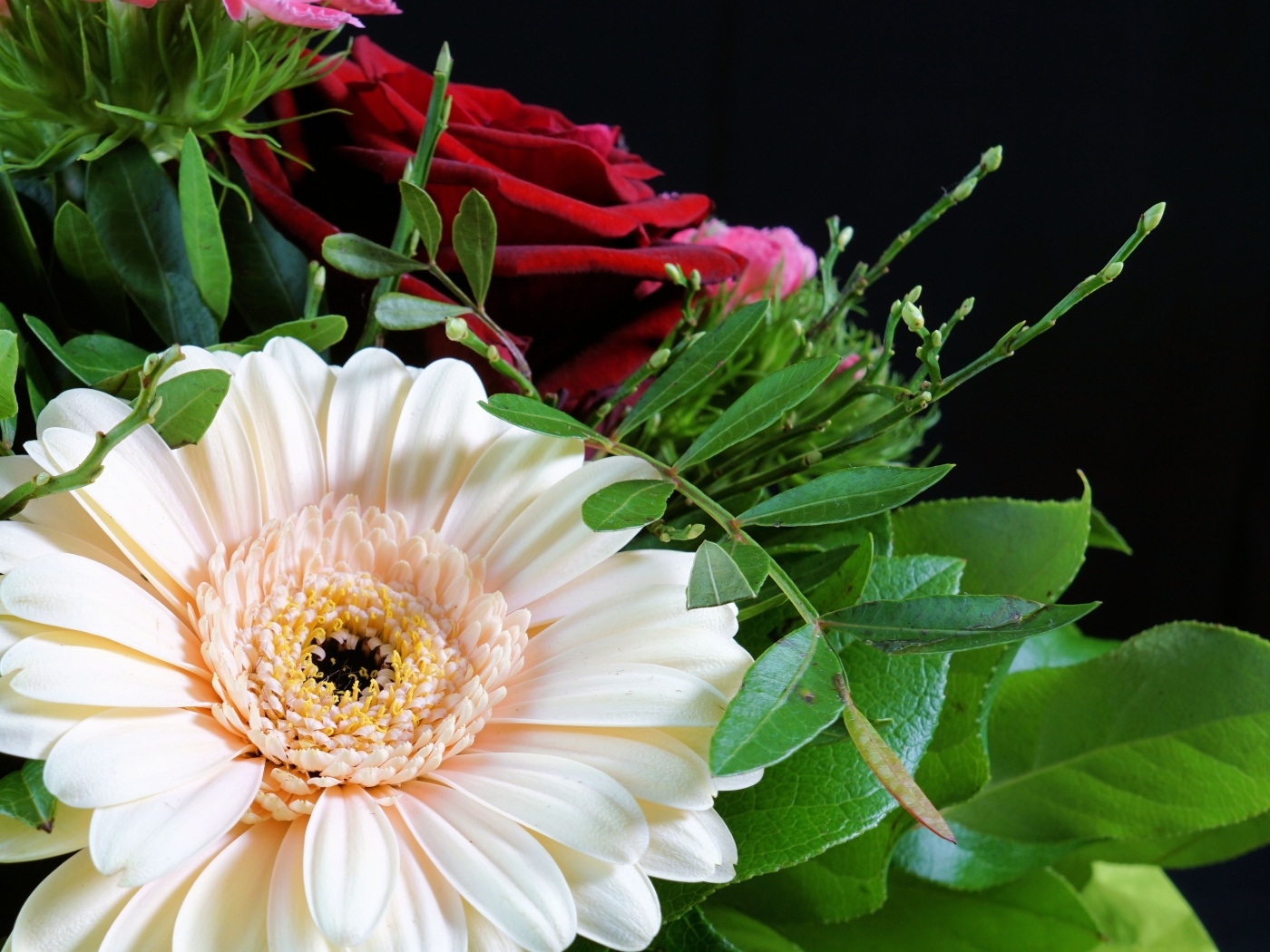 Цветок герберы в букете с красными розами