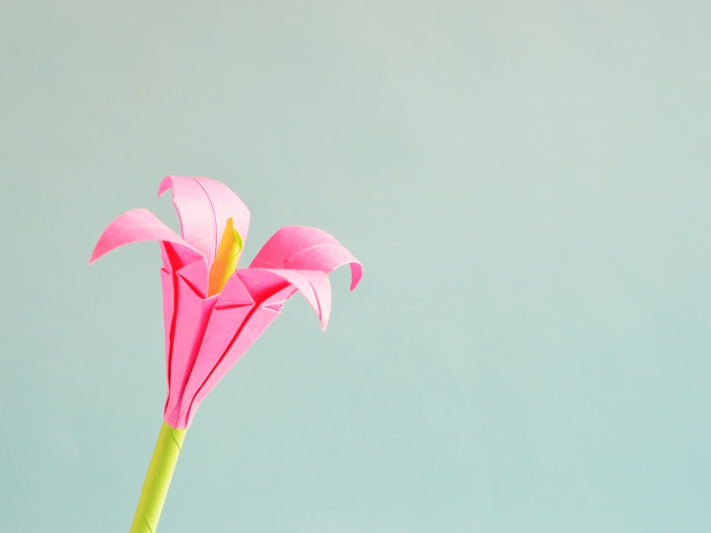 Розовый бумажный цветок на сером фоне