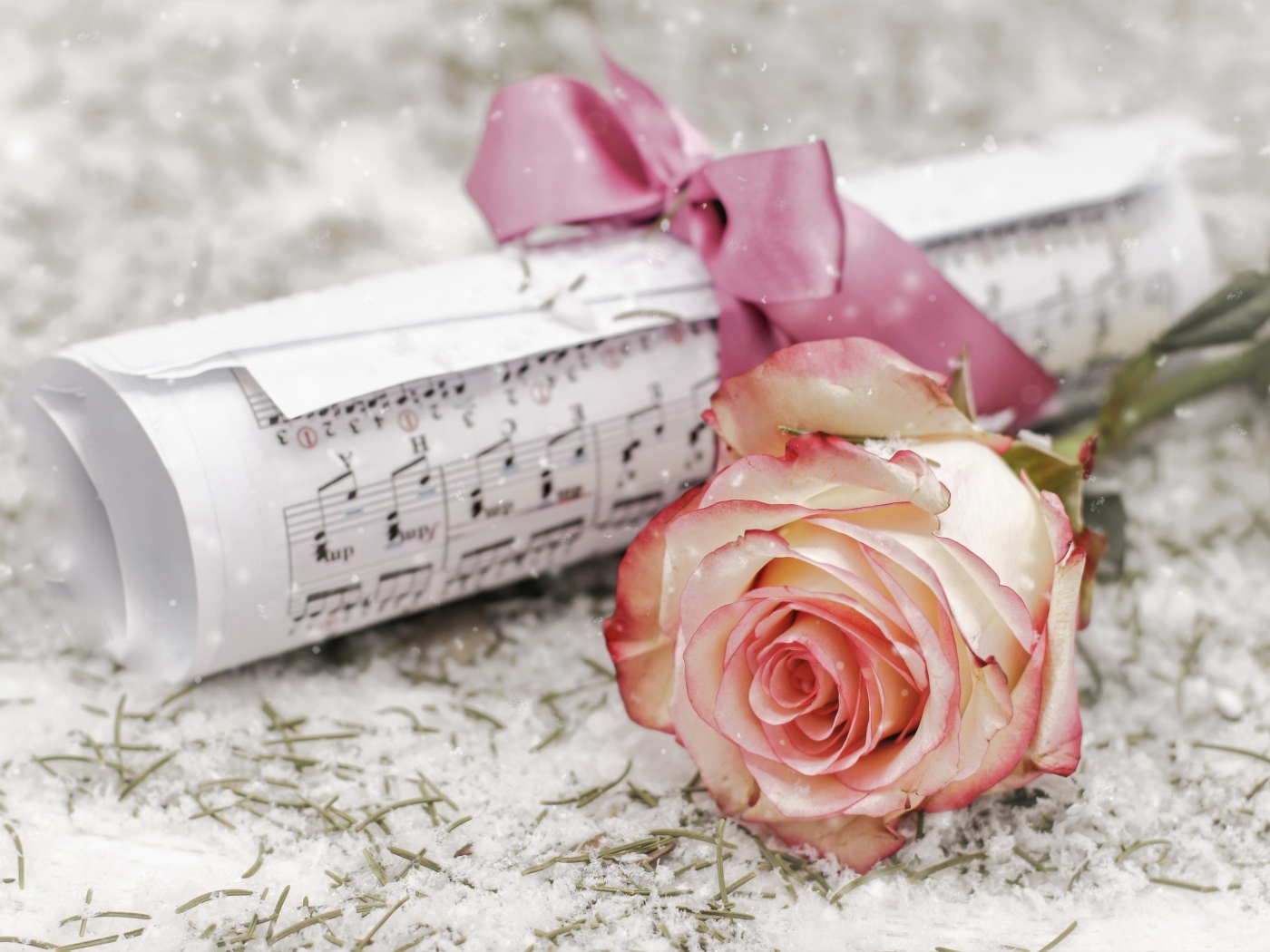 Розовая роза с нотами на снегу