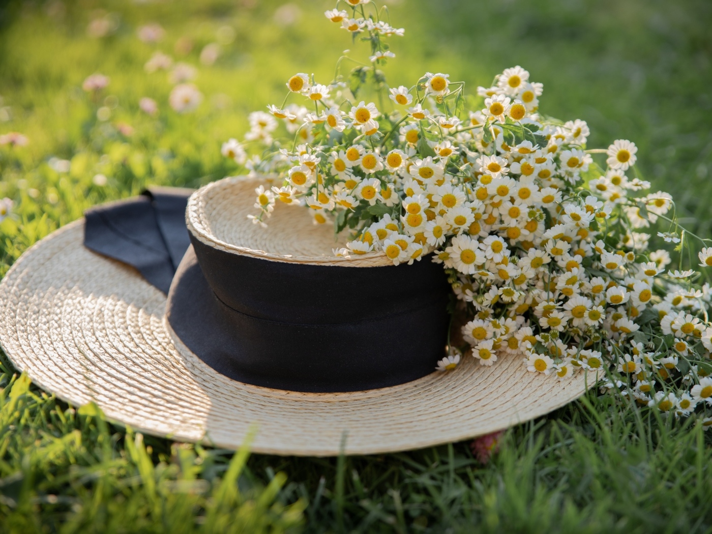 Соломенная шляпа на траве с цветами ромашки