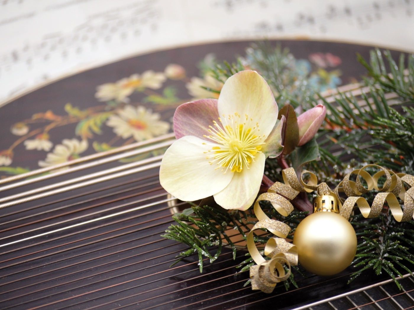 Цветок лежит на музыкальном инструменте