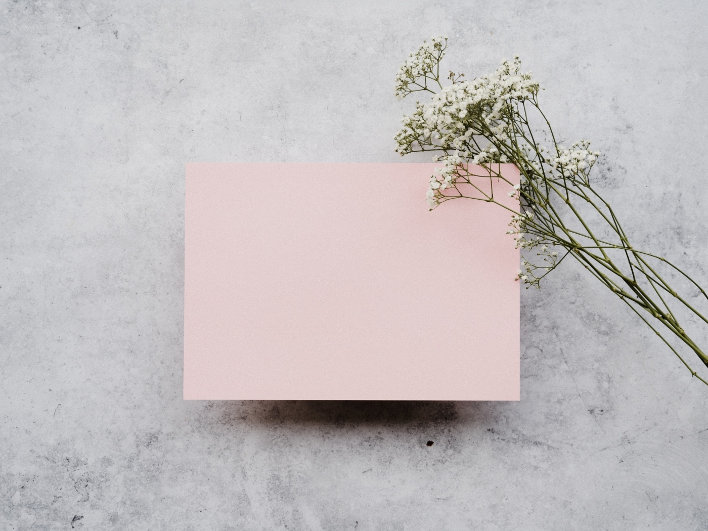 Белые цветы и лист розовой бумаги на сером фоне