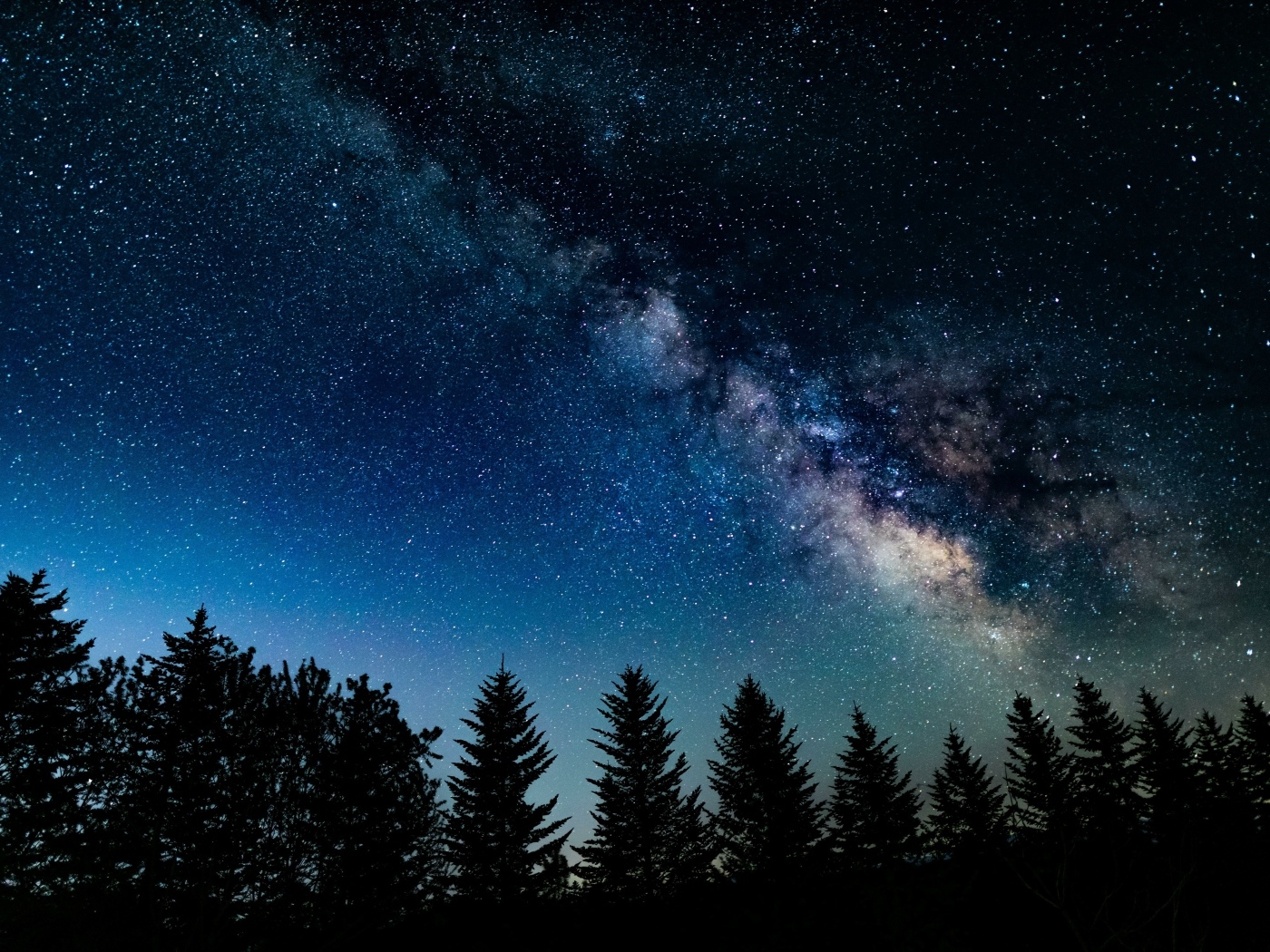 Красивое звездное небо над хвойным лесом