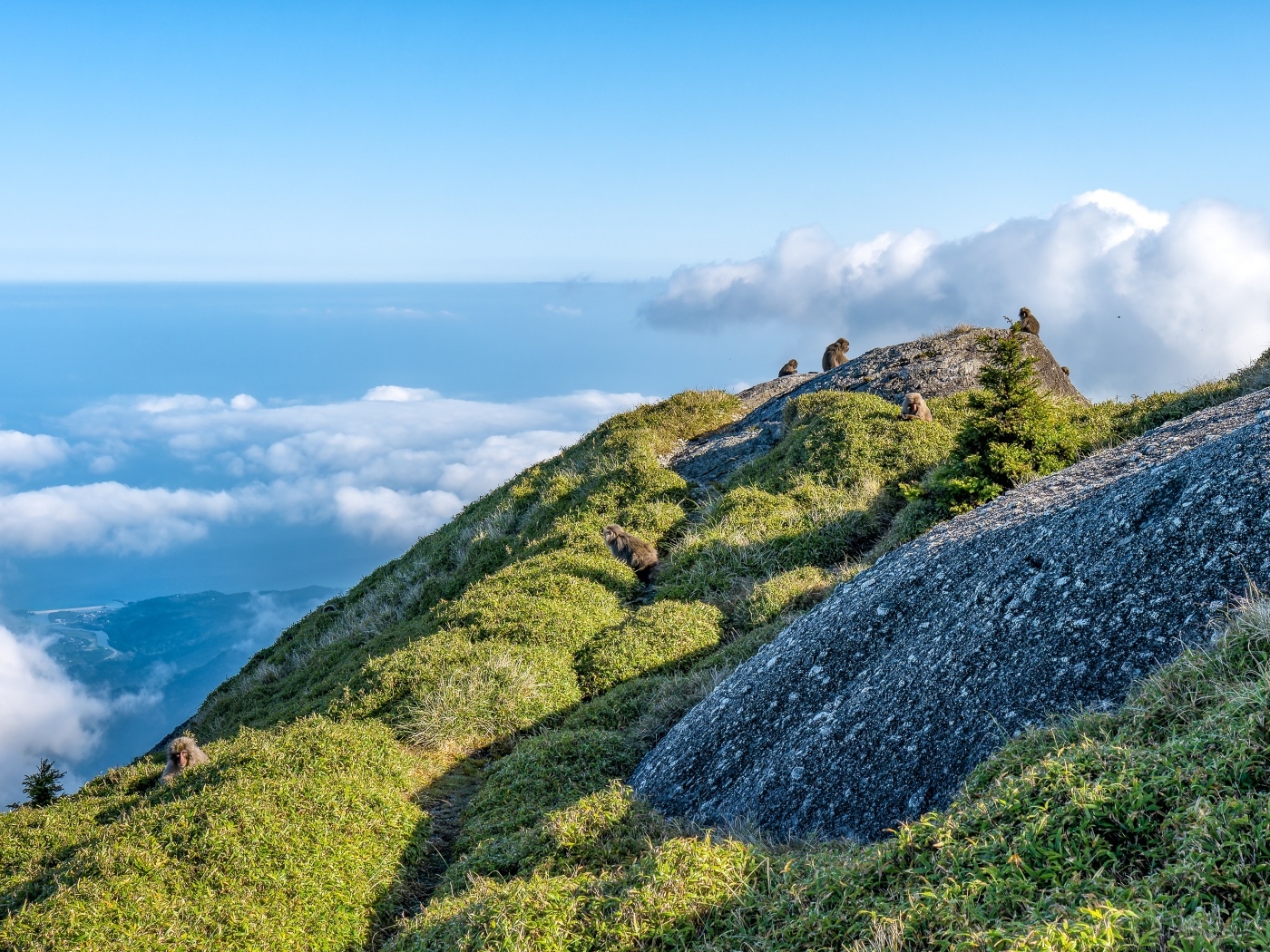 Высокие покрытые зеленью горы выше облаков