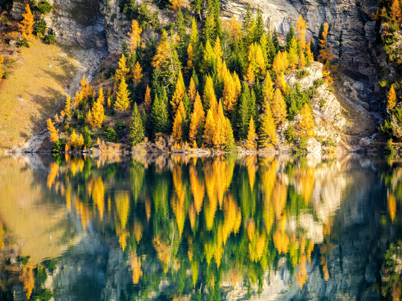 Деревья на краю горы отражаются в воде