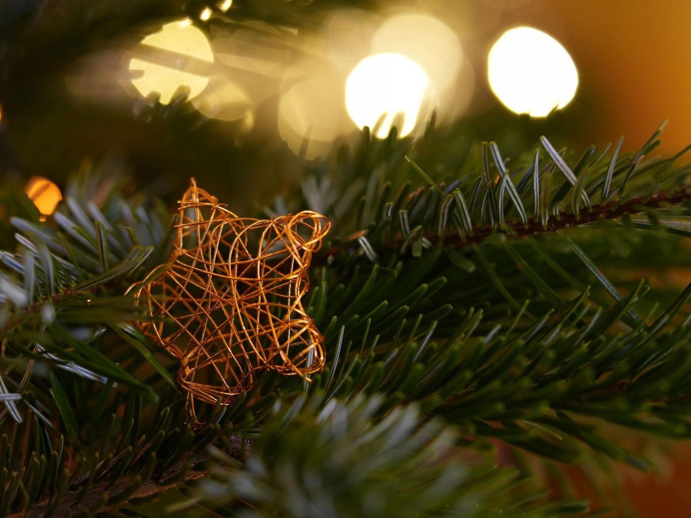 Звезда лежит на зеленой еловой ветке