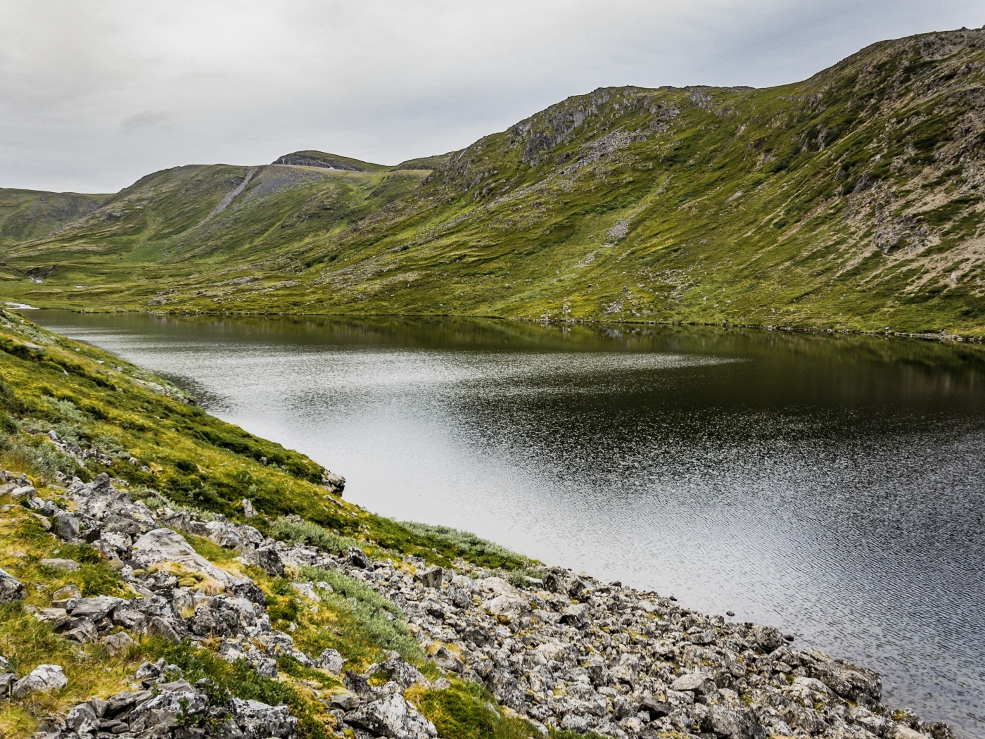 Спокойная река у покрытых зеленью холмов