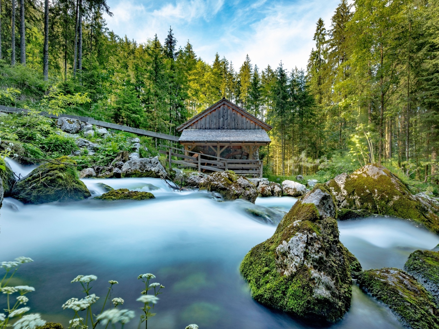 Старая хижина в лесу у горной реки