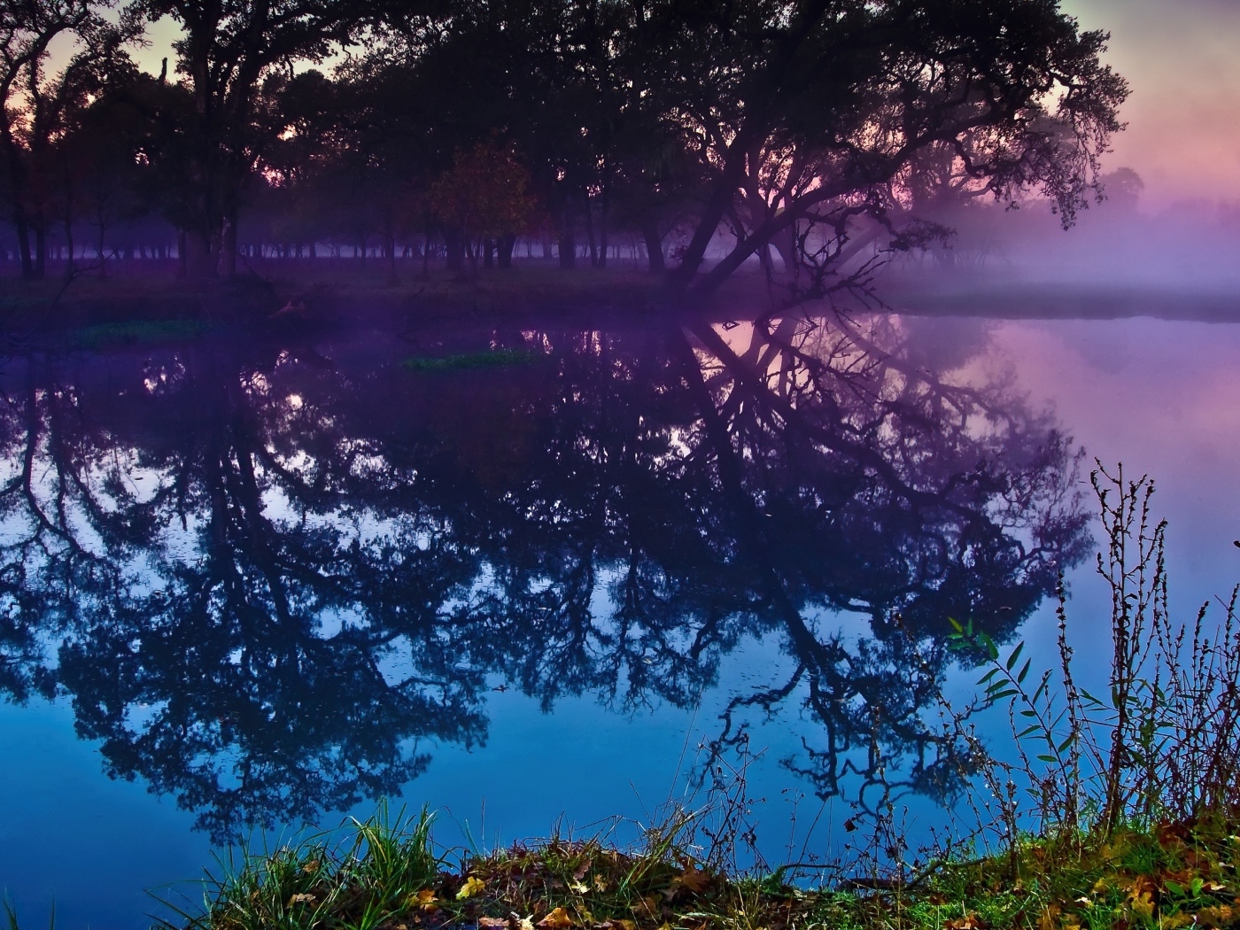 Деревья отражаются в воде озера в сумерках