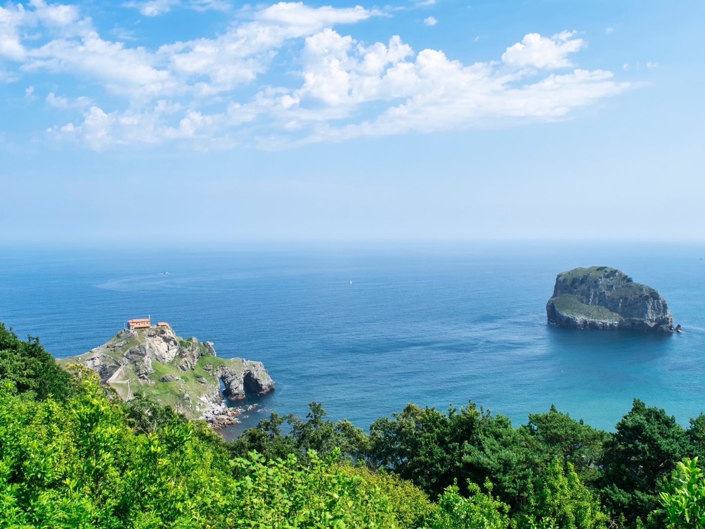 Красивый вид на море с покрытой деревьями горы