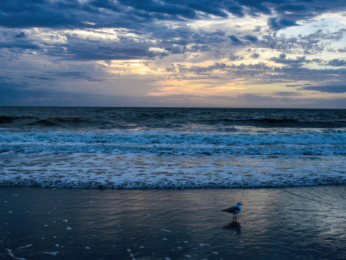 Белые волны окутывают берег моря на рассвете
