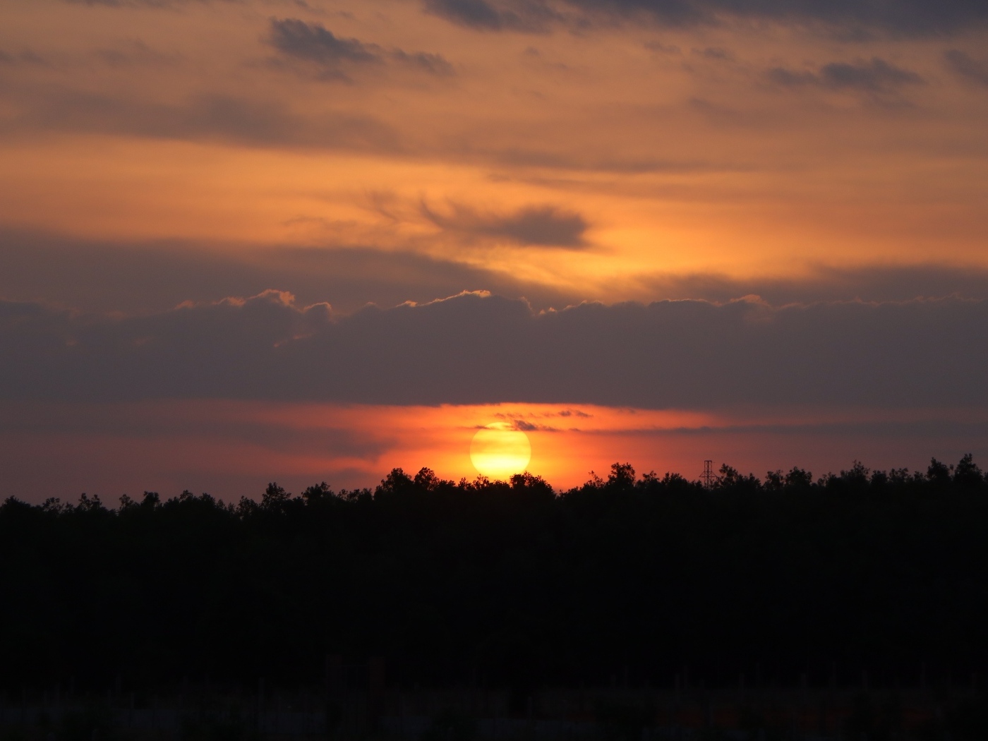 Яркое солнце садится за лесом