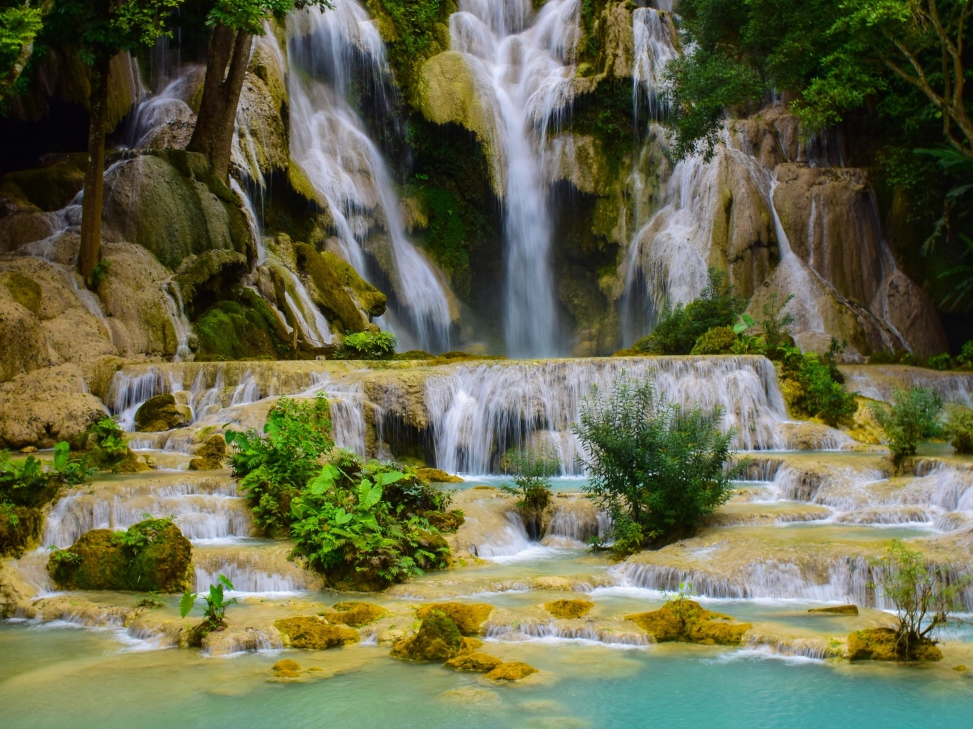 Красивый высокий водопад в лесу