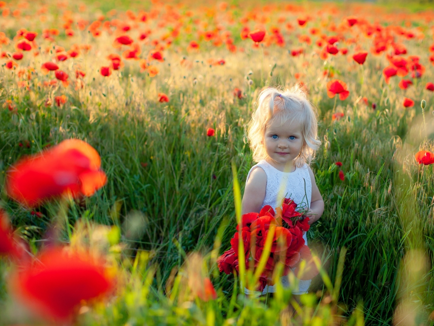 Маленькая голубоглазая девочка на поле с маками