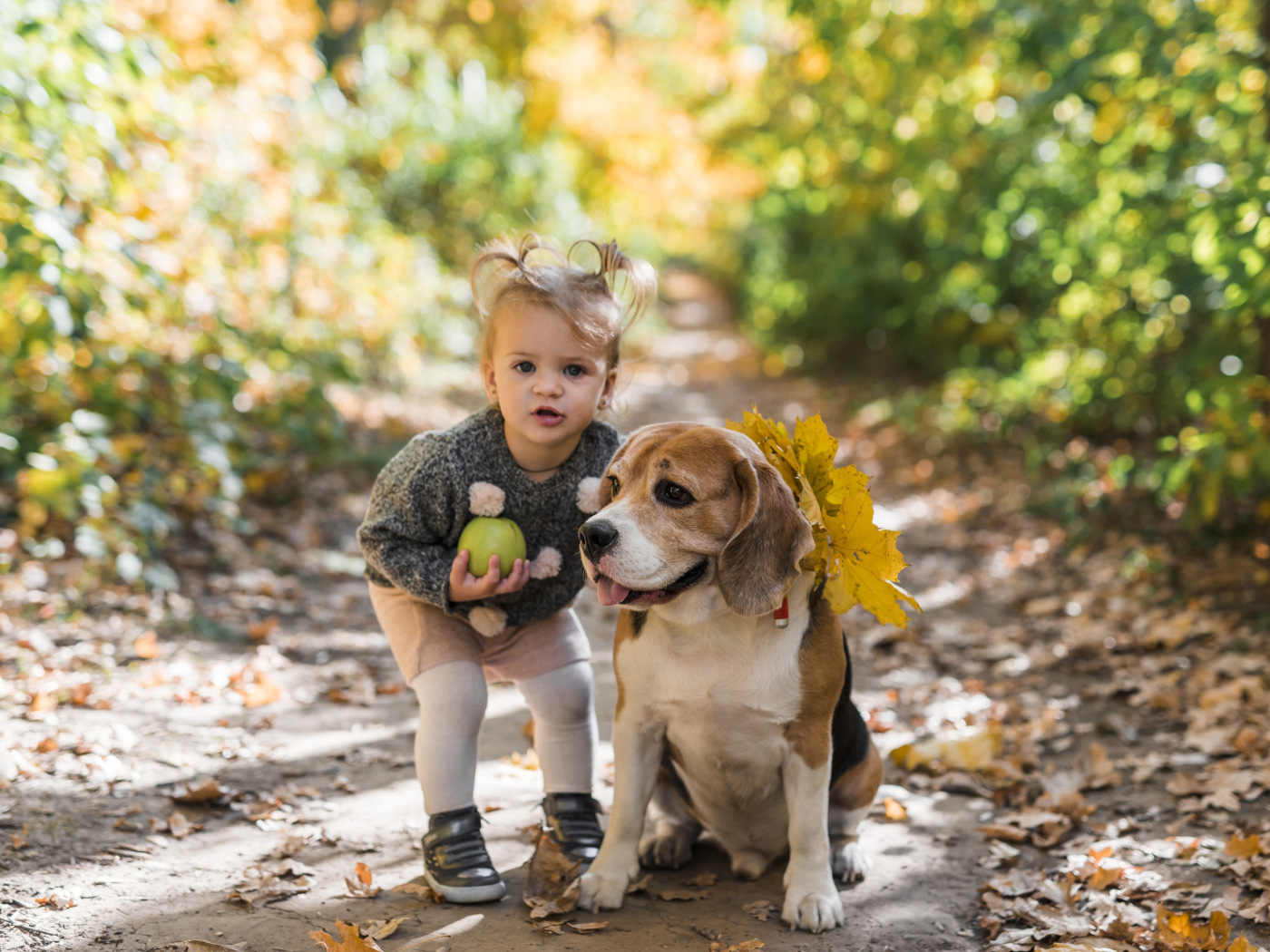 Маленькая девочка с собакой в парке